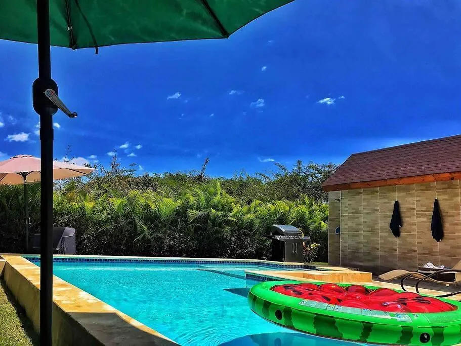 Villa Romana, Republica Dominicana Ahoga Mulo